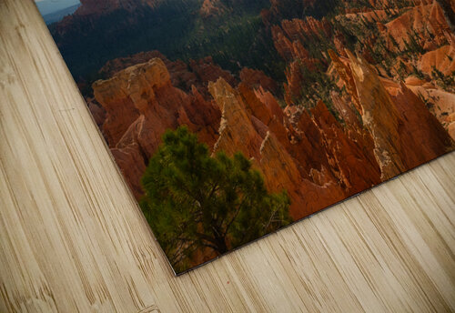 Bryce Canyon Walking Tree Derrick Cochran puzzle