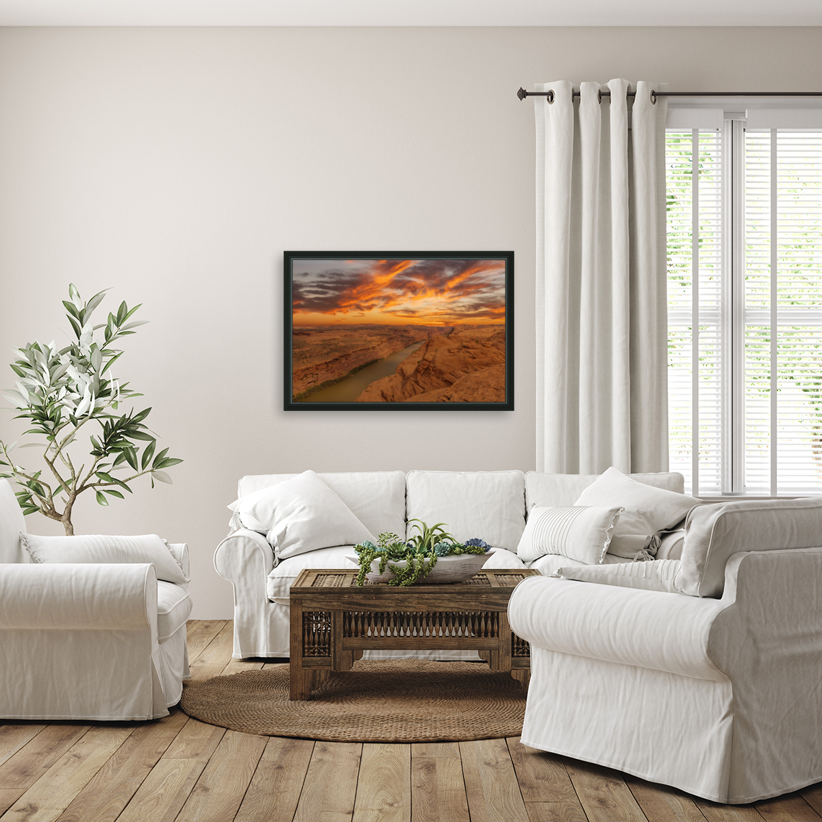 Moab Reproduction