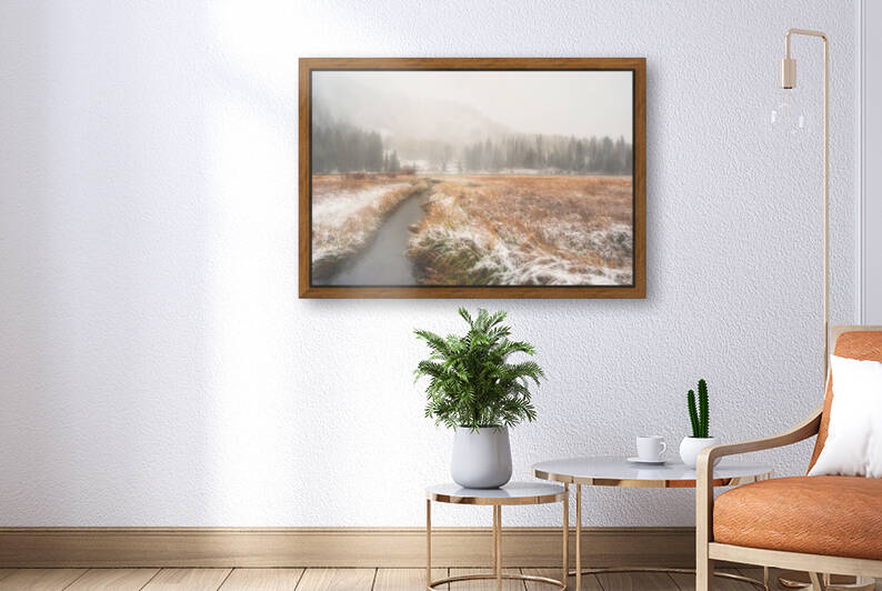 Fall Snow Reproduction