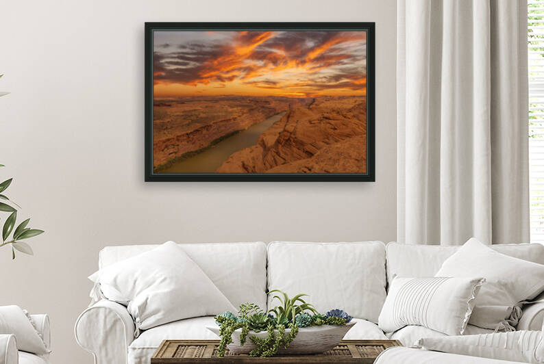 Moab Reproduction