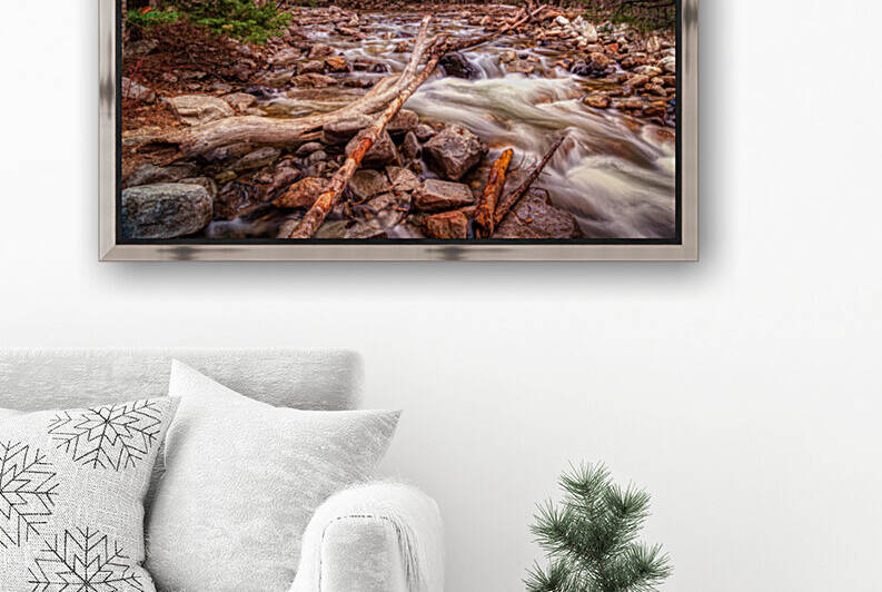 Mountain Stream Reproduction