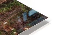 Mountain Stream HD Metal print