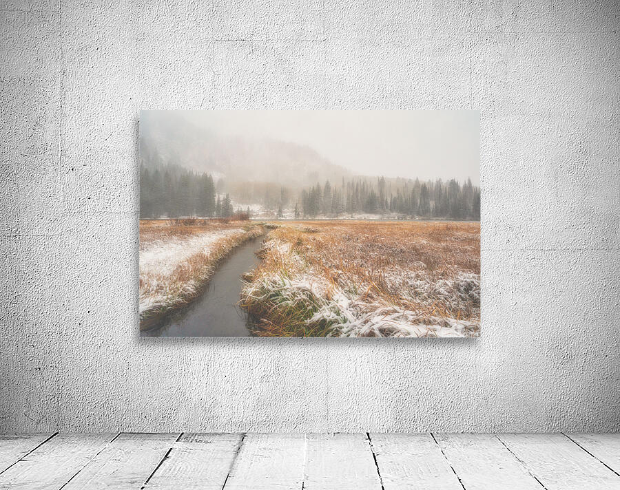 Fall Snow Wall Preview