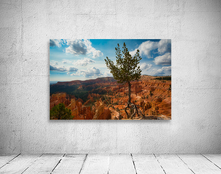 Bryce Canyon Walking Tree Wall Preview