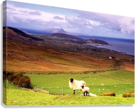 MO 012 Clew Bay Canvas Print