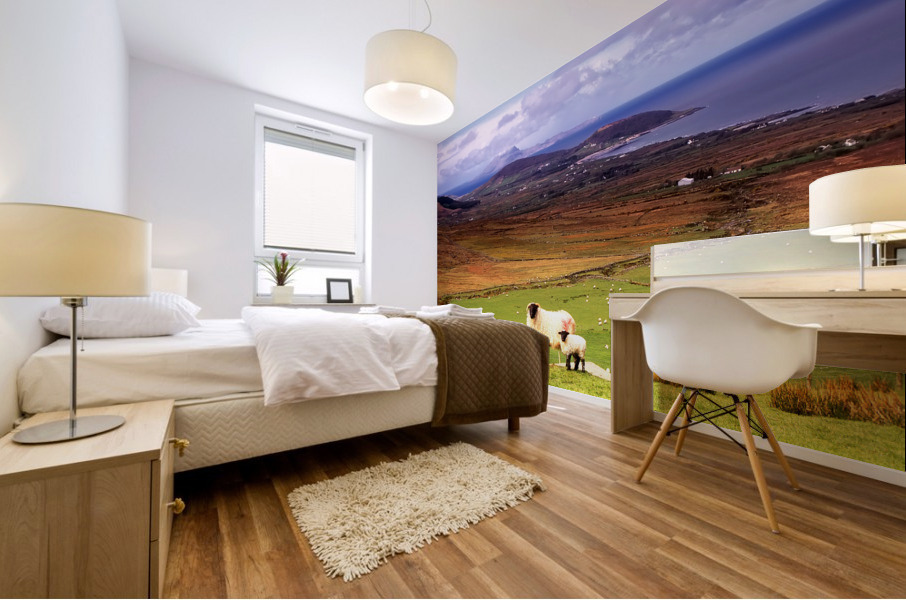 MO 012 Clew Bay Mural print