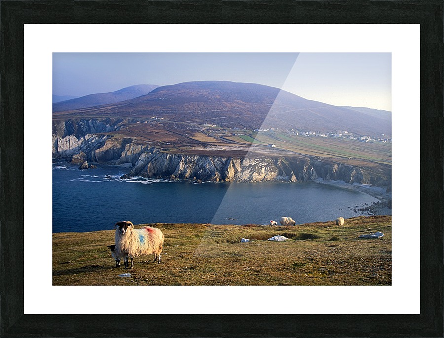 MO 015 Achill Picture Frame print