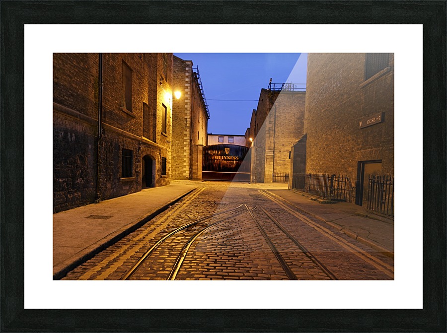D 100 Picture Frame print