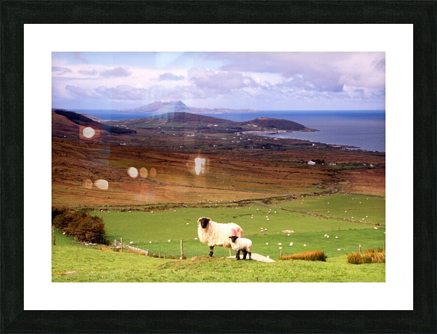 MO 012 Clew Bay Picture Frame print