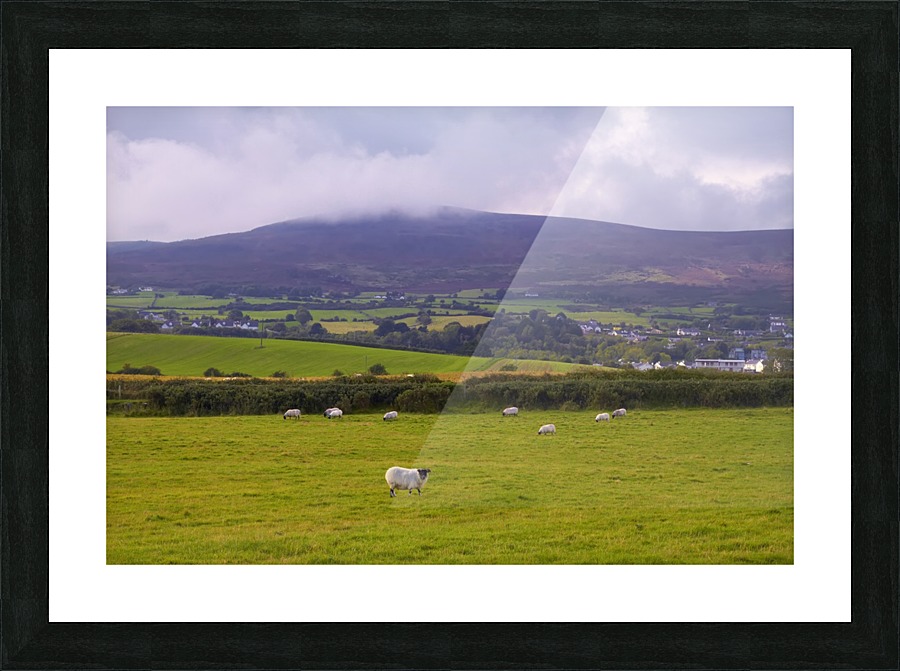 LH 021 Cooley Mountains Picture Frame print