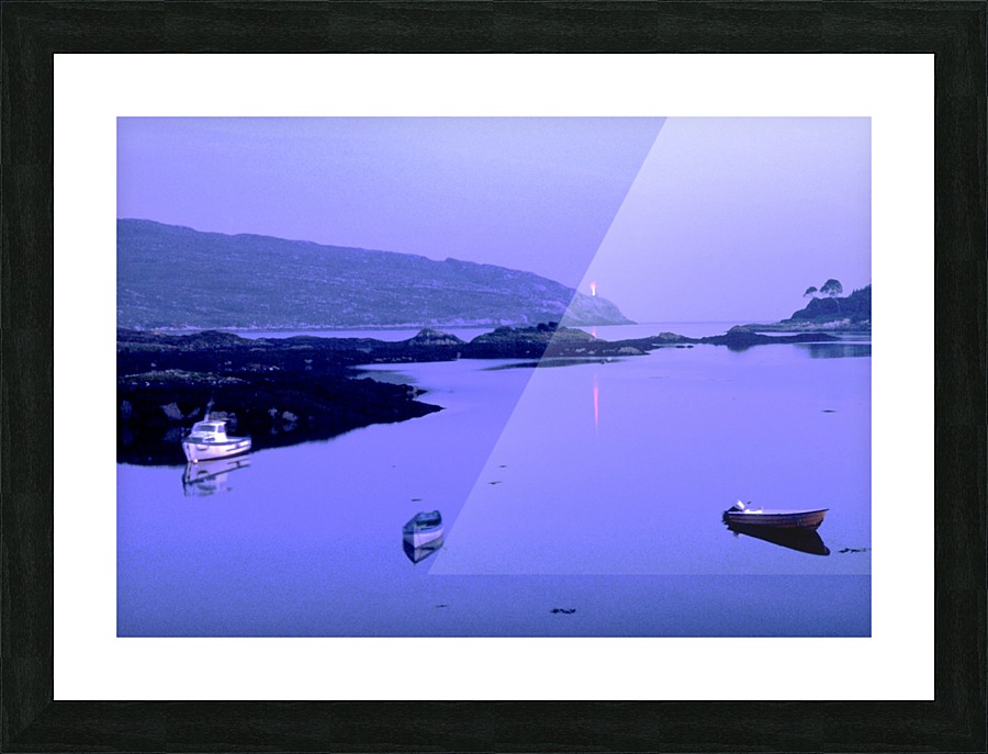 C 027 beara Picture Frame print