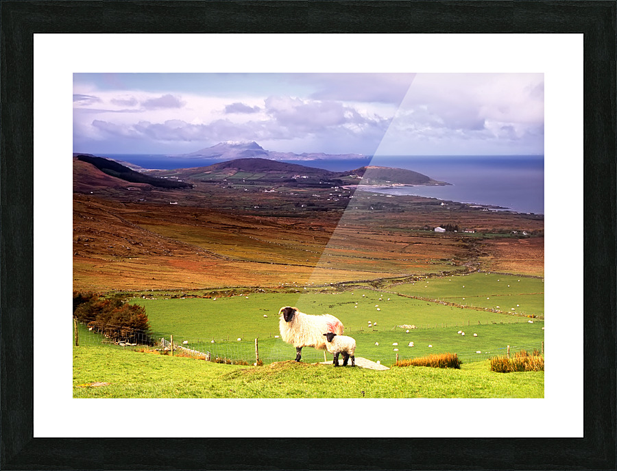 MO 012 Clew Bay Picture Frame print