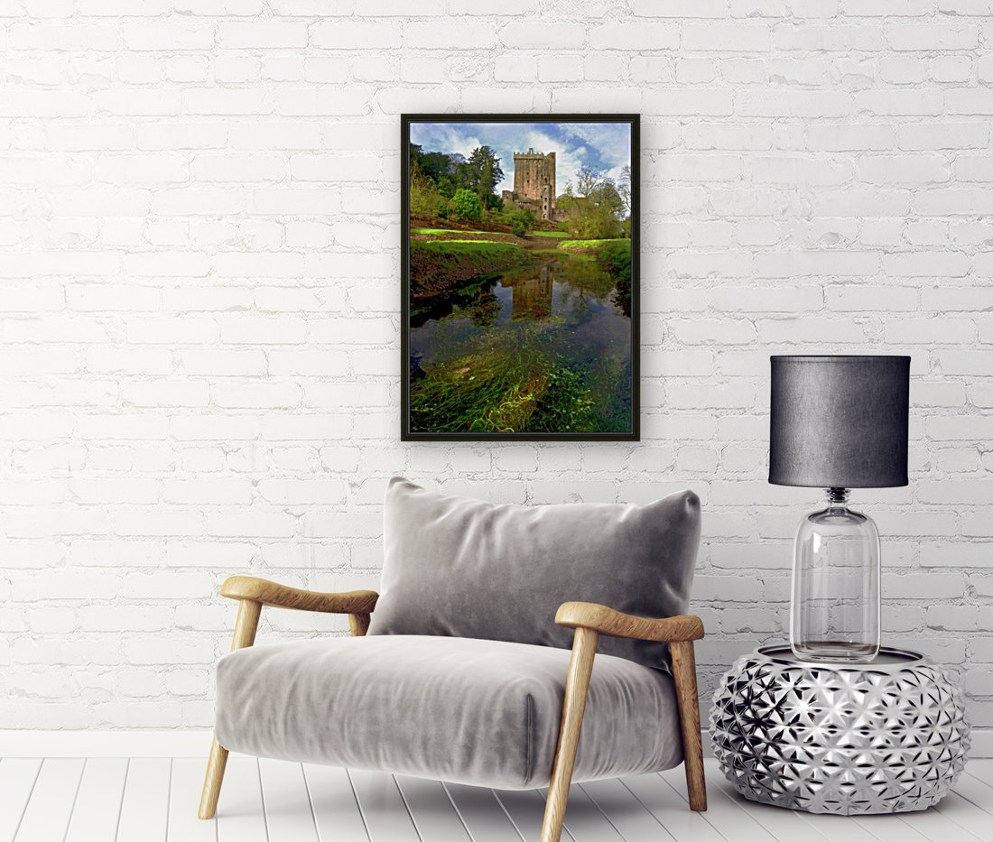 C 180 Blarney Reproduction