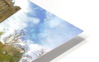C 180 Blarney HD Metal print