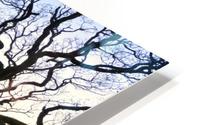 KY 415 Ross Island HD Metal print