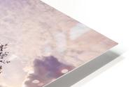 LH 025 Cooley Peninsula HD Metal print