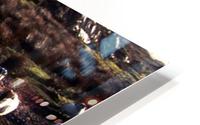C 028 beara HD Metal print