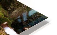 C 091 Glengarriff HD Metal print