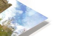 C 180 Blarney HD Metal print