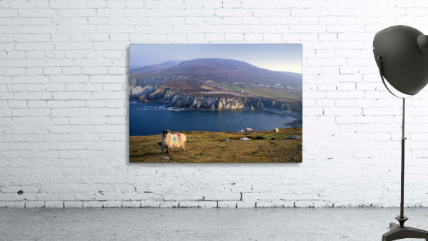 MO 015 Achill Wall Preview