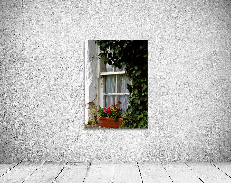 WW 005 Avoca Wall Preview