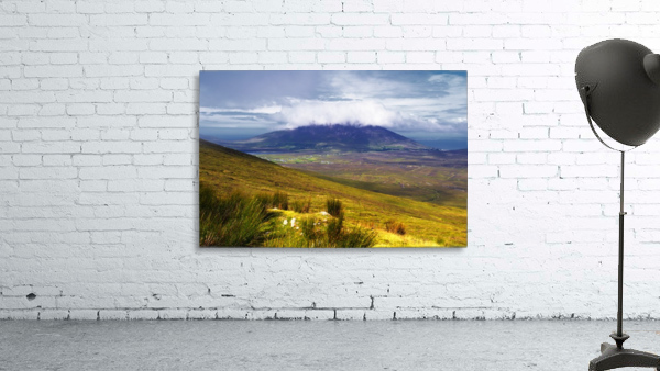 MO 061 Achill Wall Preview