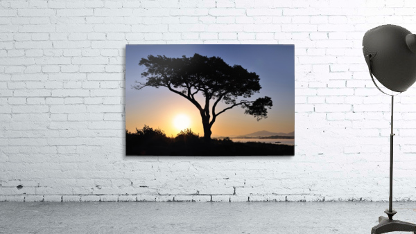 KY 356 Killarney Wall Preview