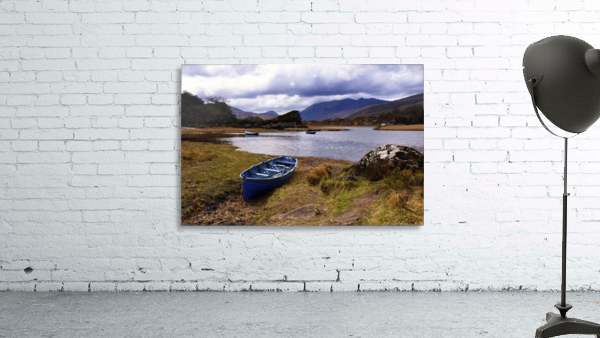 KY 444 Killarney Wall Preview