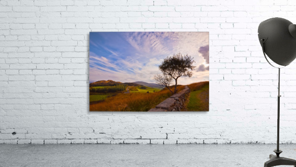 LH 025 Cooley Peninsula Wall Preview