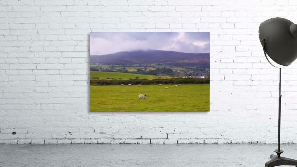 LH 021 Cooley Mountains Wall Preview
