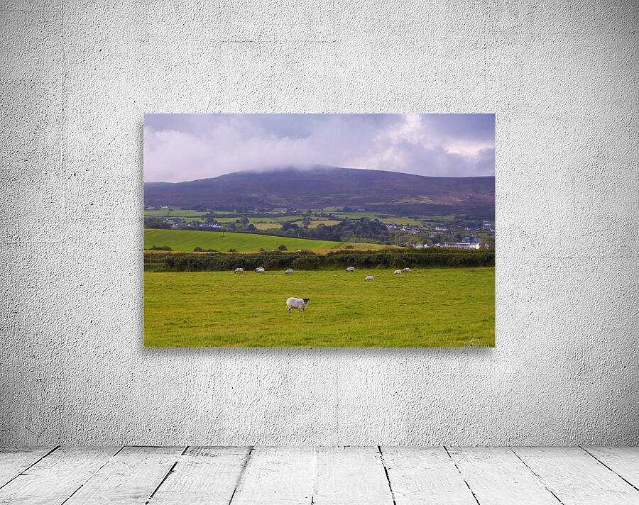 LH 021 Cooley Mountains Wall Preview
