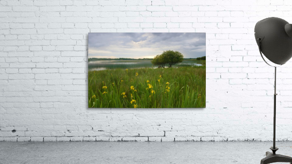 RN 036 Co.Roscommon Wall Preview