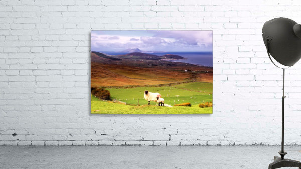 MO 012 Clew Bay Wall Preview