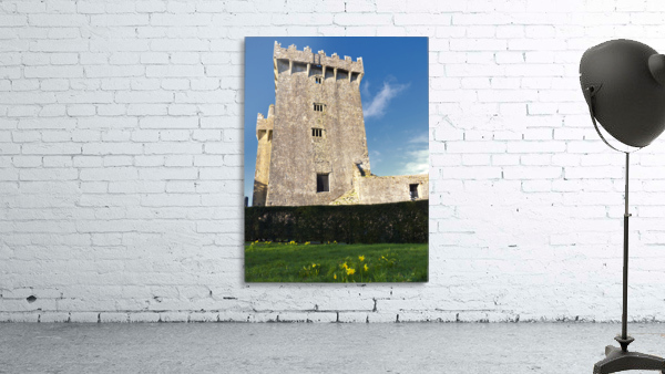 C 375 Blarney Castle Wall Preview