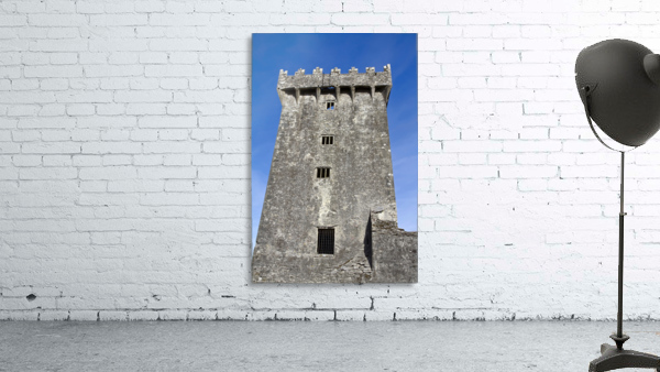 C 516 Blarney Castle Wall Preview