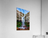 Natural Elegance Acrylic Print