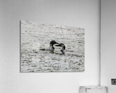 Soulmates Acrylic Print