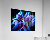 Neon Bloom Acrylic Print