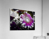 Purple Destination Acrylic Print