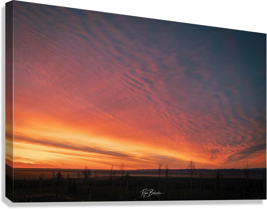 Scorched Weather Canvas Print