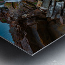 Serenity Metal print