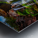 Mossy Peace Metal print