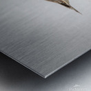 Reflecting Metal print