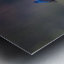 Rendezvous Metal print