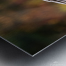 Autumn Goose Metal print