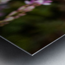 Floating Magic Metal print