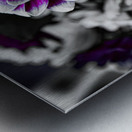 Purple Destination Metal print