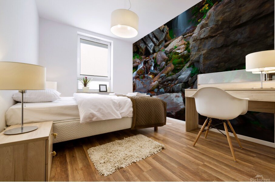 Serenity Mural print