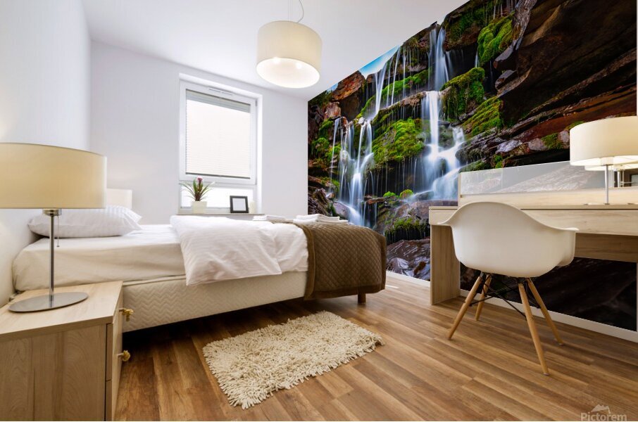 Mossy Peace Mural print