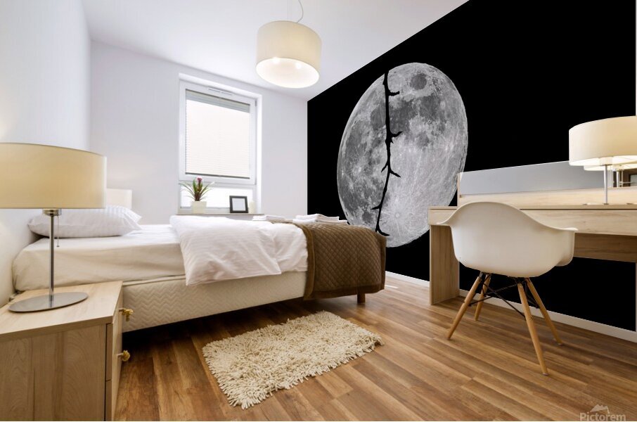 Dark Night Mural print